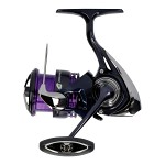 Daiwa 24 Prorex X LT 2500 Haspelrulle