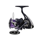 Daiwa 24 Prorex X LT 4000C Haspelrulle