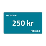 Presentkort 250 kr