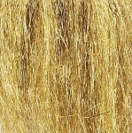 Wing´n Flash - Gold